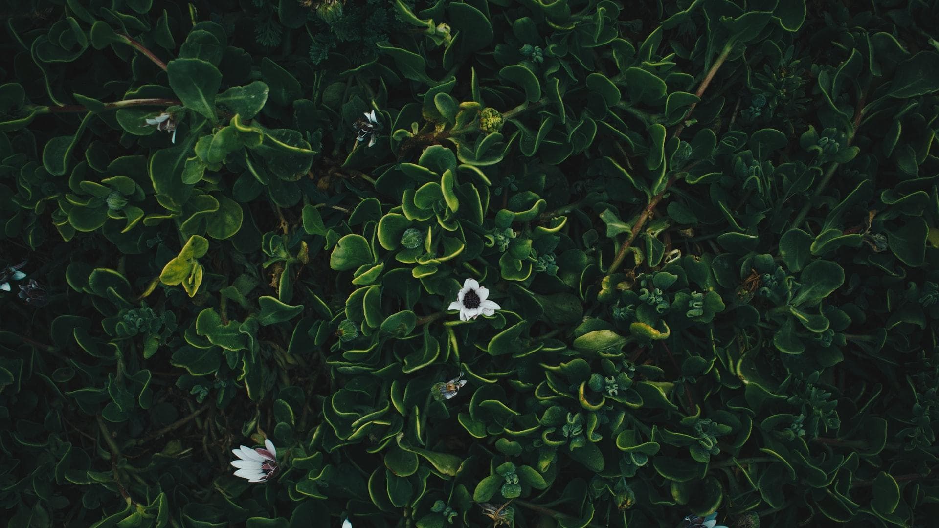 (Autor: Cătălina Cornea) Prea mulți se plâng că nu au bani, prea mulți se plâng că sunt săraci. Dar e  