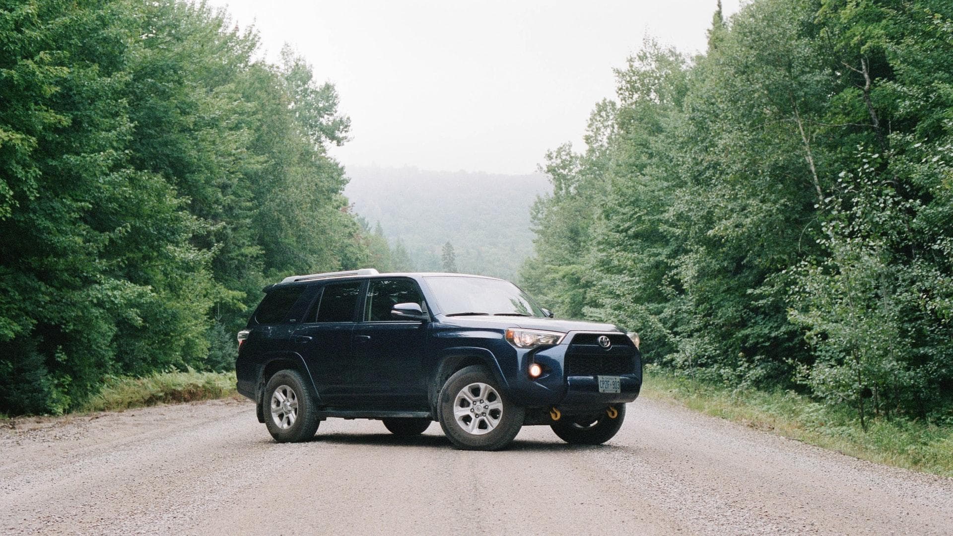 (Autor: Cătălina Cornea) Când ultimii fulgi mai cad, am decis să îți spun și eu ultimele cuvinte. Ia cu tine