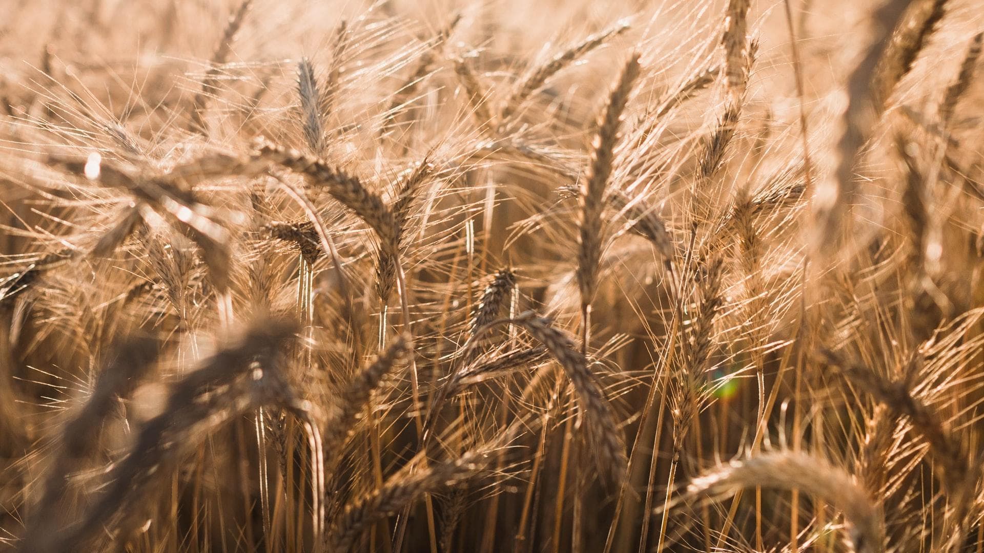 Atunci când unii oameni dau vina pe alții pentru nefericirea lor sau când noi înșine i-am acuzat pe ceilalți pentru