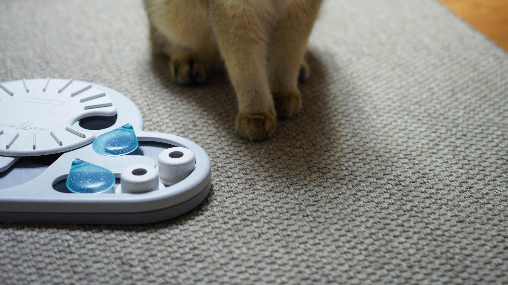 „Lumea nu e a celor care pot”