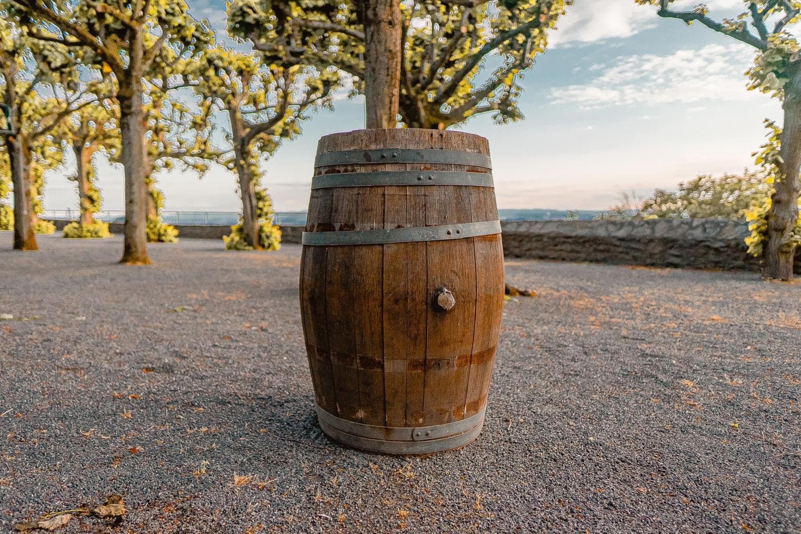 Pulberi de stele și butoiașe