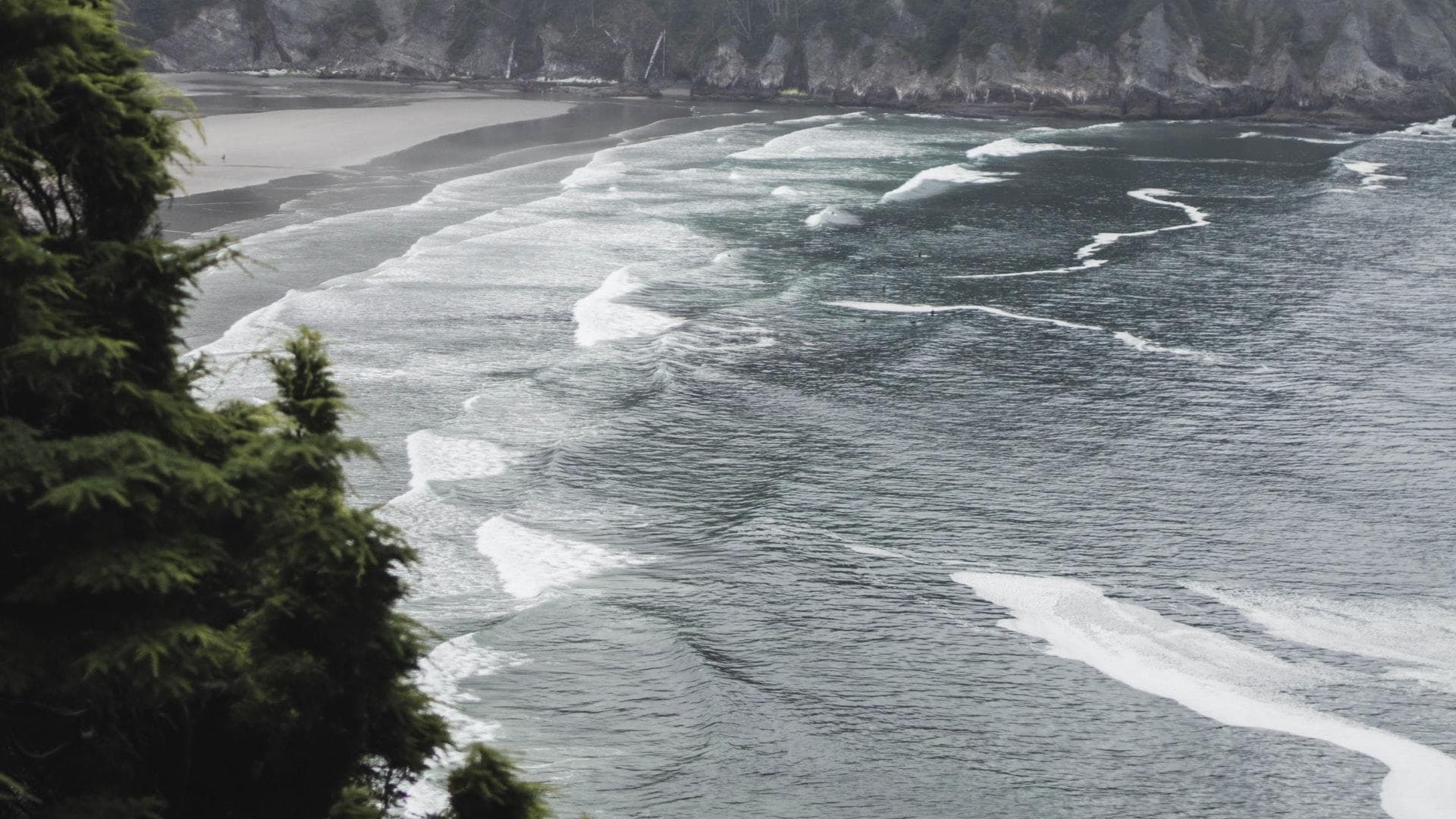 Regretul pierderii celor dragi și vinovăție