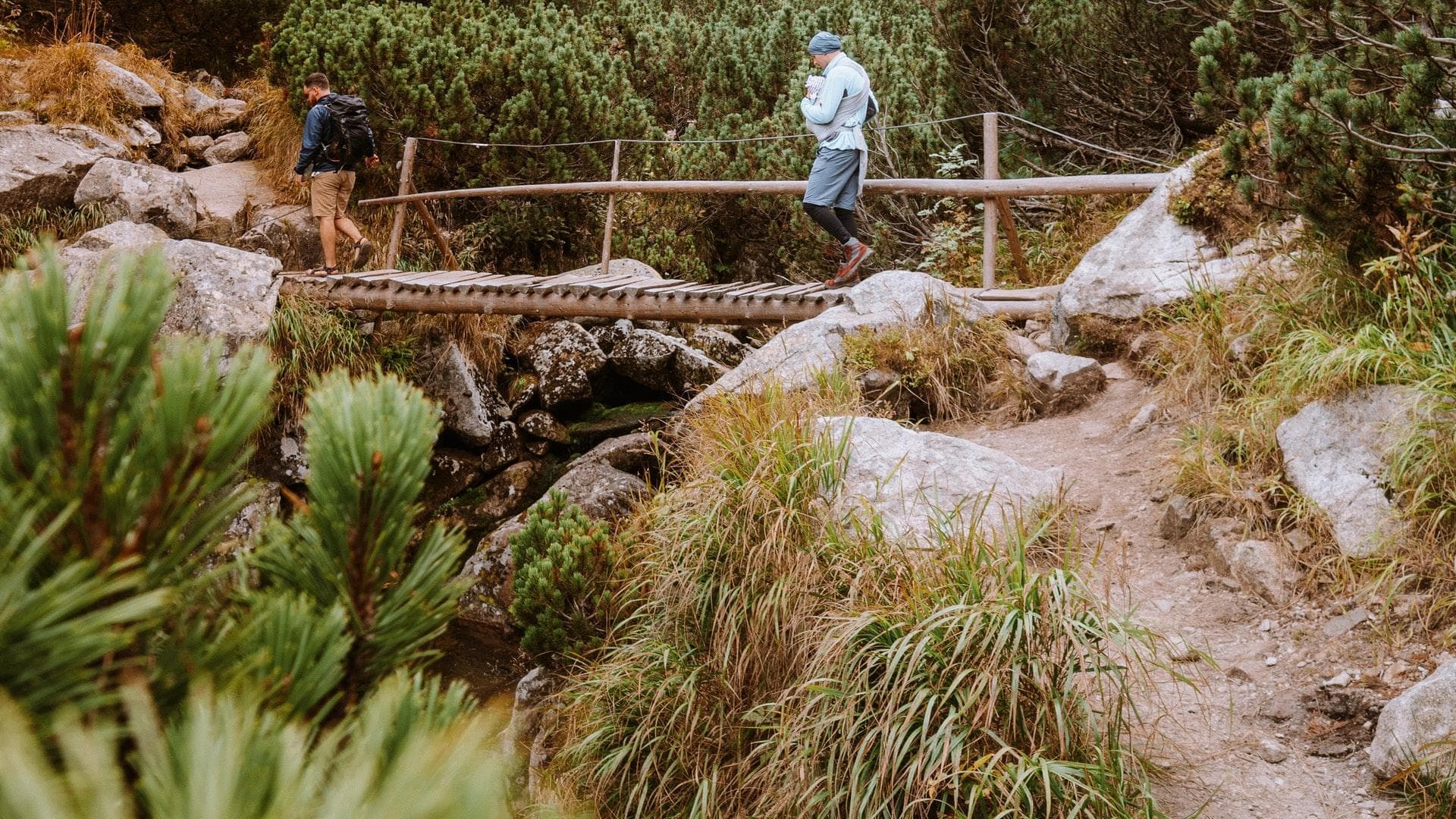 Sunt momente în care nu știi cum să îndrepți o lume strâmbată de propriile amintiri și gânduri fără un real